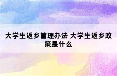 大学生返乡管理办法 大学生返乡政策是什么